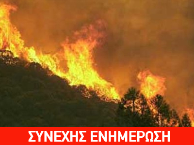 Μάχη με τις φλόγες σε Αίγιο και Ζαγόρι – Υπό έλεγχο τα υπόλοιπα μέτωπα